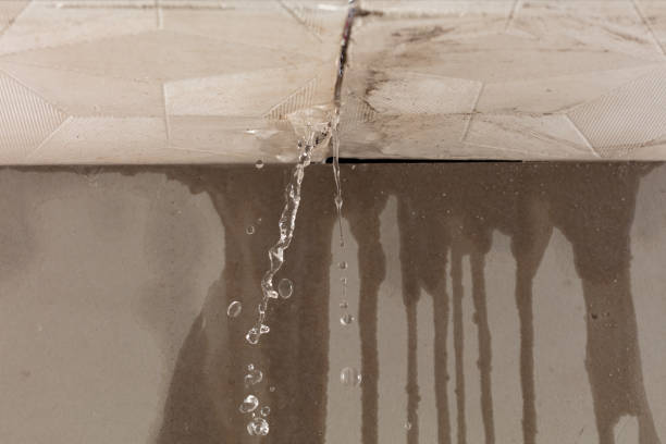 Professional Structural Drying technician working in New Washington, OH